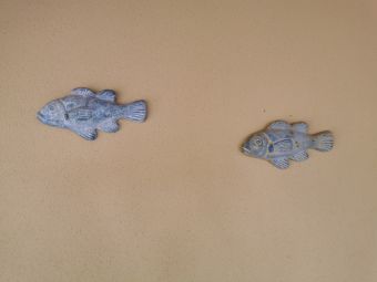 Рыбки во дворе второго дома