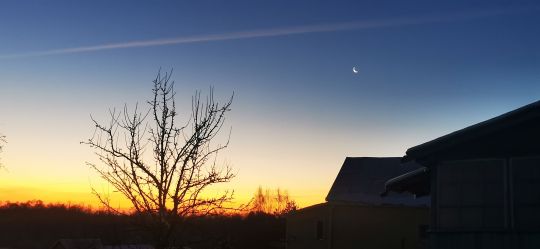 Рыбалка 12.12.2020 раннее утро