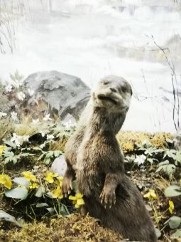 Дануна! (Рыбалка с 14 по 19 сентября 2020)