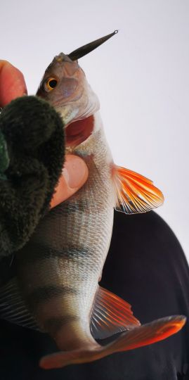 Первая рыбалка 2021