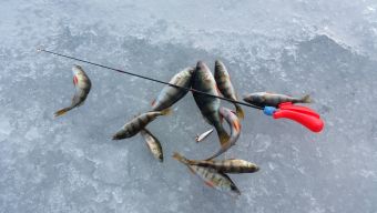 Рыбалка 07-04-2018