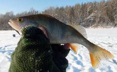 Оунек на зимнюю блесну