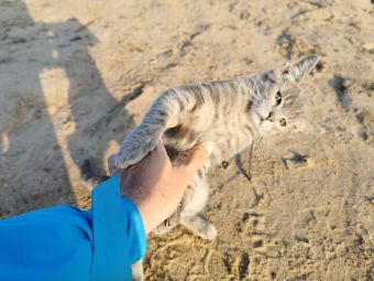 Рыбалка 2018-08-31