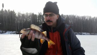 Окунек двусотграммовик