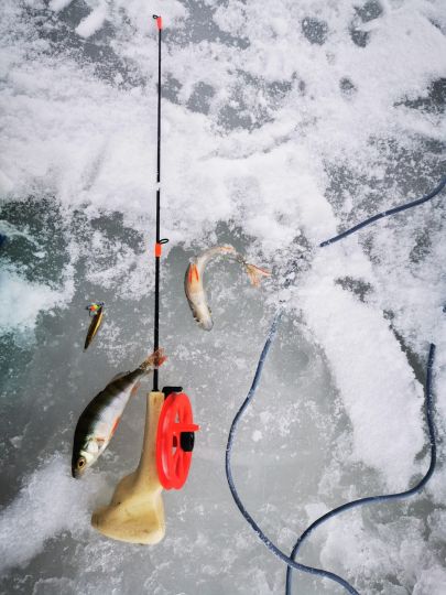 Открытие сезона 05.12.2020 Окуньки