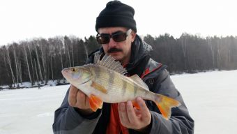 Окунек на 40 грамм