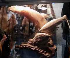 Поймали два тайменя, один с хрен, другой помене :)