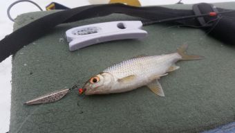 Рыбалка 18 февраля 2018