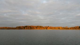 Рыбалка 2018-10-20