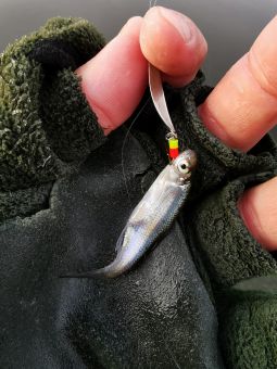 Первый лед 24 ноября 2019