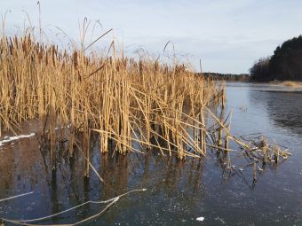 Первый лед 24 ноября 2019