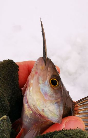 Первая рыбалка 2021