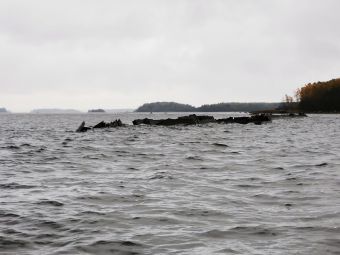 Туса 2020, Вацлав Воровский