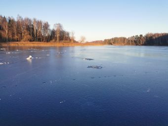 Рыбалка 01-12-2019