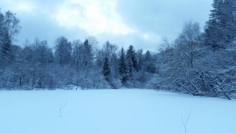 Зима, холода, красота