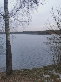 Первый лед 24 ноября 2019