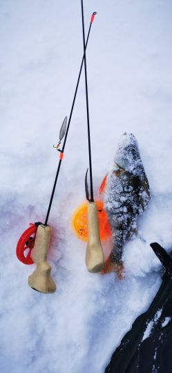 Рыбалка 26.12.2020