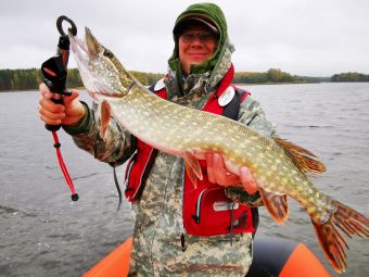 Туса 2020, Барабуль и щука 250 грамм