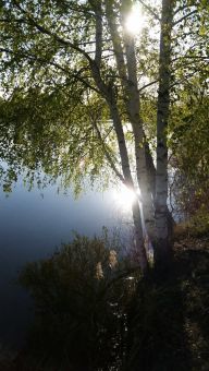 Рыбалка на щучьем платнике 2019-05-04