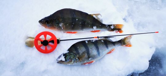 Первая рыбалка 2021