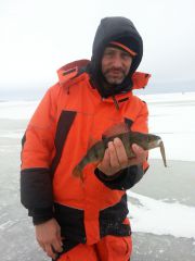 Master Yoda с окунечком