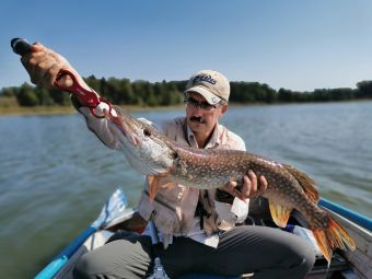 Рыбалка 2018-08-31