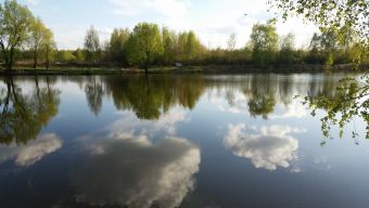 Рыбалка на щучьем платнике 2019-05-04