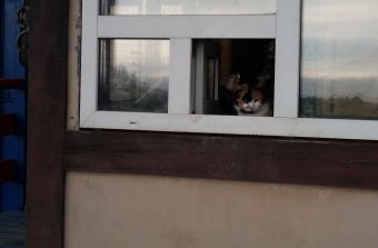 Открытие сезона летней рыбалки 22 мая 2016