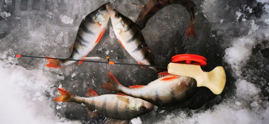 Первая рыбалка 2021