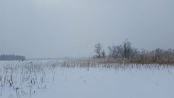 Зимняя туса 2018