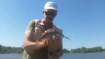 Рыбалка 11-08-2108 окунь на воблер 310 мм