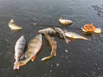 Первый лед 24 ноября 2019