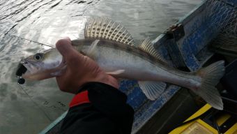 Рыбалка 29-09-2018