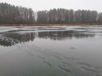 Рыбалка 30-11-2019