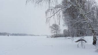 Зима, холода, красота