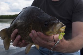 Рыбалка 11-06-2107 карасик 100 грамм