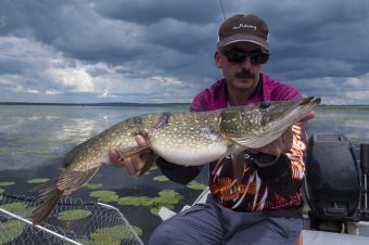 Рыбалка 11-06-2107 щучка на 300 грамм