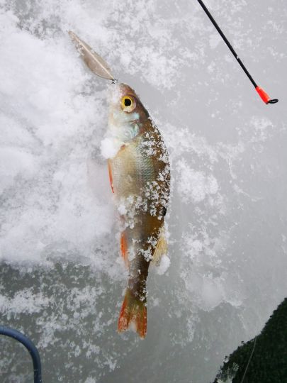 Открытие сезона 05.12.2020. Первый