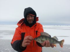 Master Yoda с окунечком