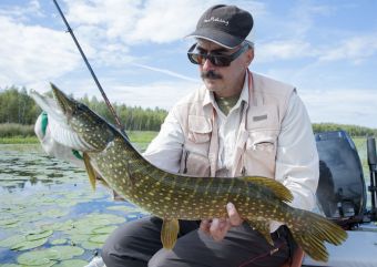 Щука на Zetrix Ambition - X 732 MH