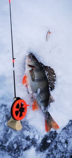 Рыбалка 26.12.2020