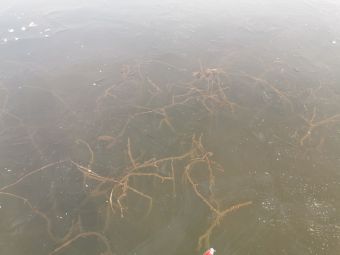 Первый лед 24 ноября 2019