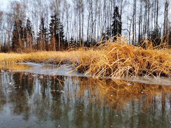 Первый лед 24 ноября 2019