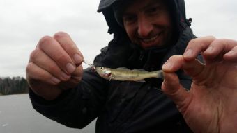 Первый лед 2018-11-24