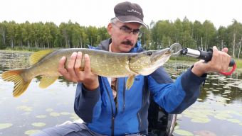 Щучка на полторушку