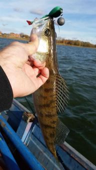 Рыбалка 2018-10-20