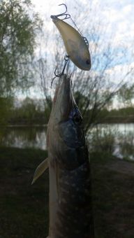 Рыбалка на щучьем платнике 2019-05-04