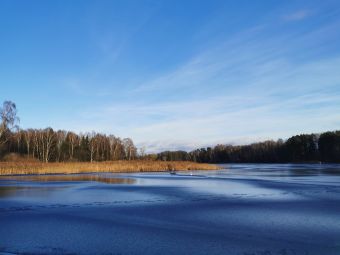 Рыбалка 30-11-2019