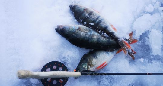 Первая рыбалка 2021