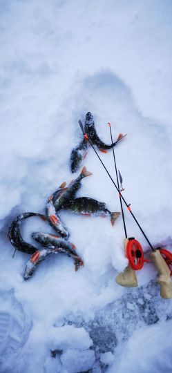 Рыбалка 26.12.2020